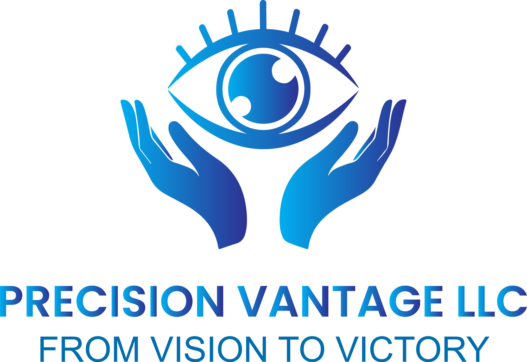 Precision Vantage LLC